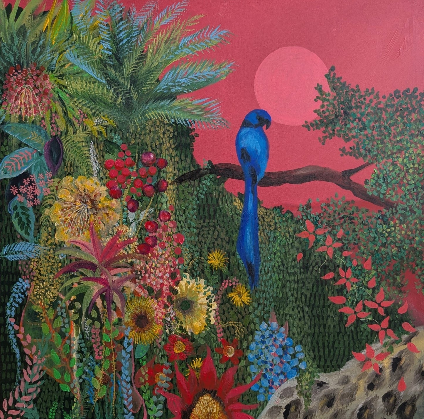 đź”´ 'Jungle Cherries'